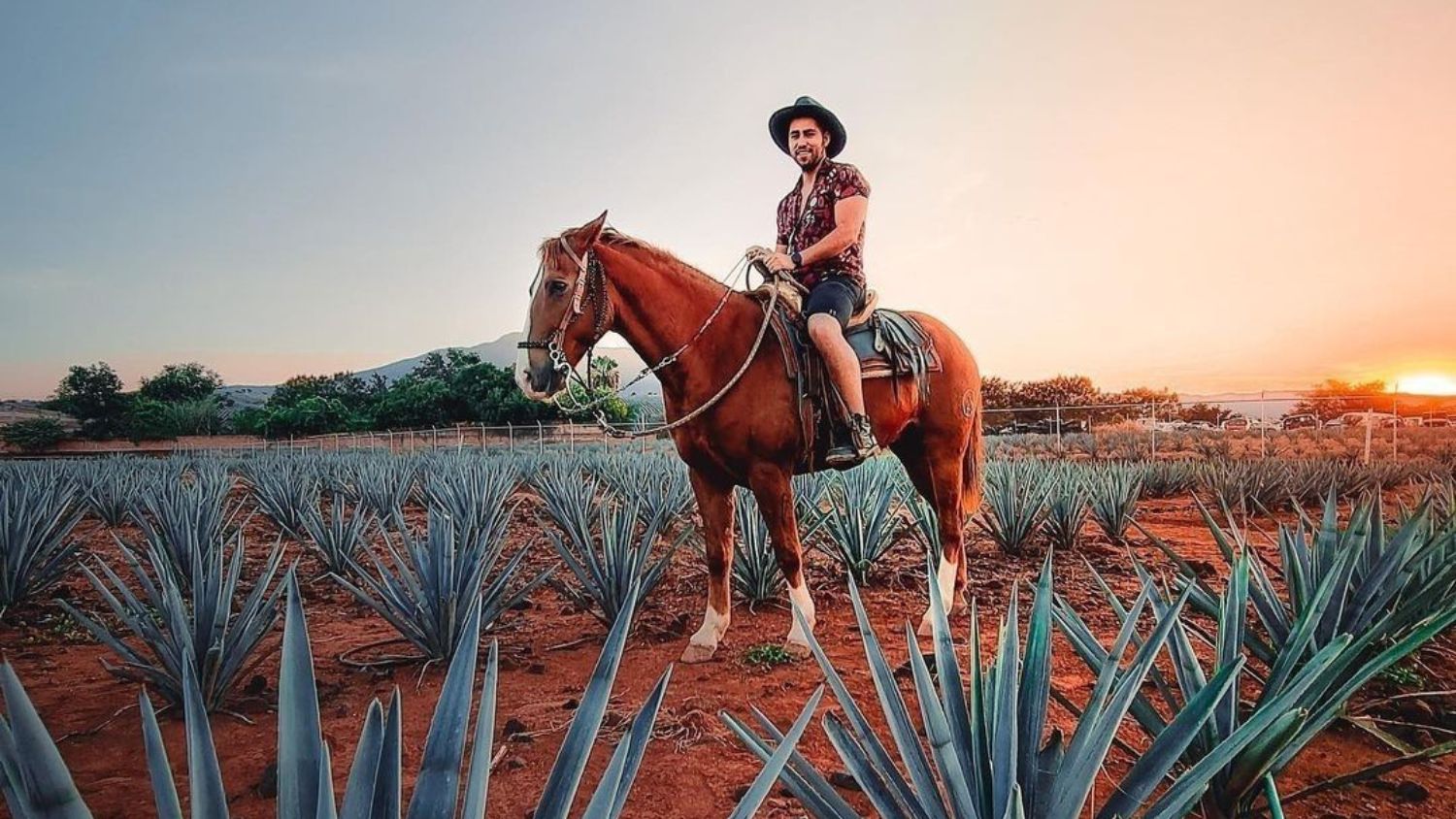 Discovering the Art of Tequila in Guadalajara, Mexico